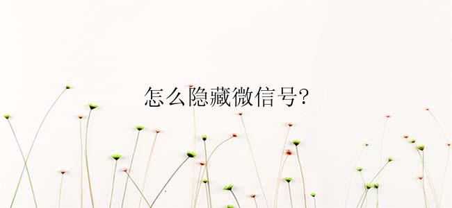 怎么隐藏微信号?