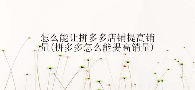 怎么能让拼多多店铺提高销量(拼多多怎么能提高销量)