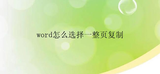 word怎么选择一整页复制