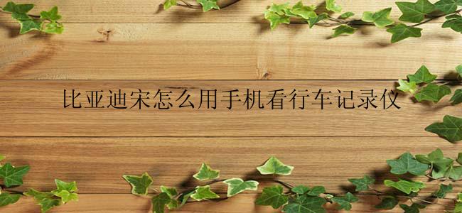 比亚迪宋怎么用手机看行车记录仪