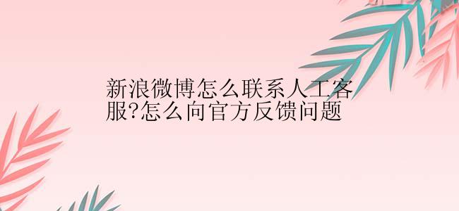 新浪微博怎么联系人工客服?怎么向官方反馈问题