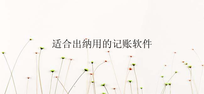 适合出纳用的记账软件