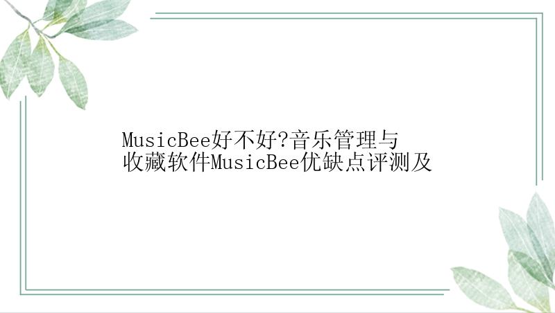 MusicBee好不好?音乐管理与收藏软件MusicBee优缺点评测及