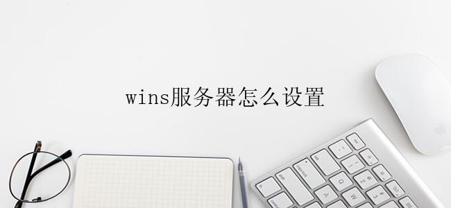 wins服务器怎么设置