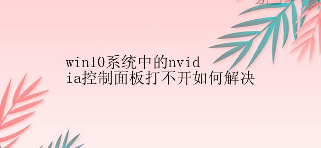 win10系统中的nvidia控制面板打不开如何解决