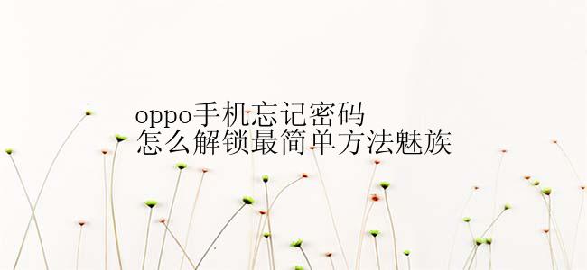 oppo手机忘记密码怎么解锁最简单方法魅族