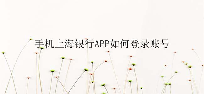 手机上海银行APP如何登录账号