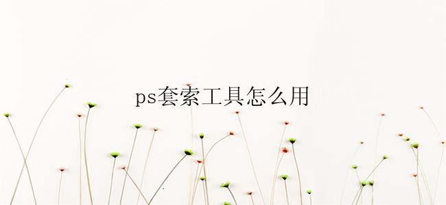ps套索工具怎么用