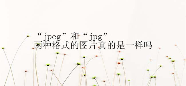 “jpeg”和“jpg”两种格式的图片真的是一样吗