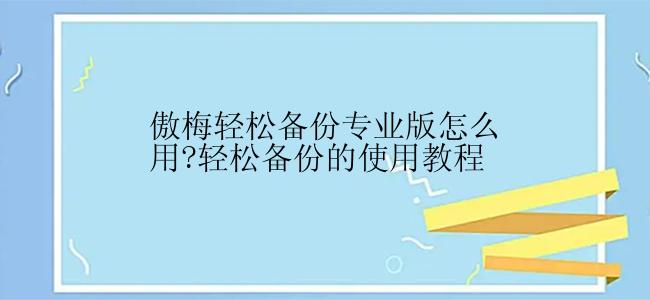 傲梅轻松备份专业版怎么用?轻松备份的使用教程