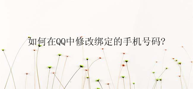 如何在QQ中修改绑定的手机号码?