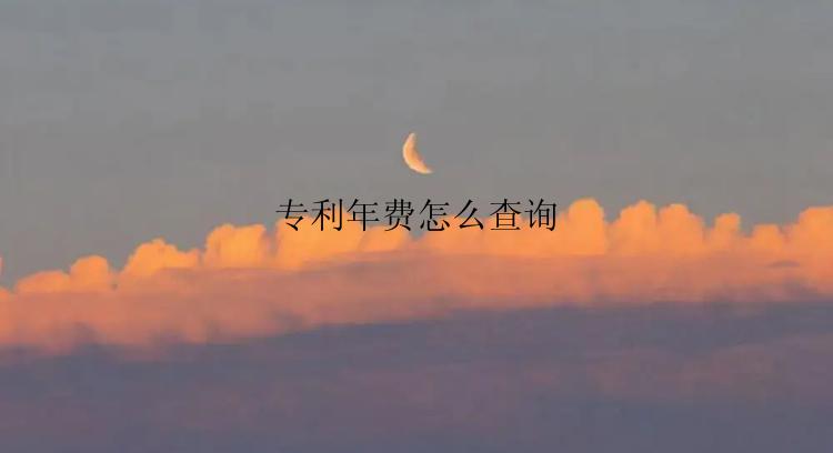 专利年费怎么查询