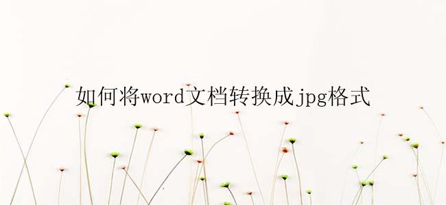 如何将word文档转换成jpg格式