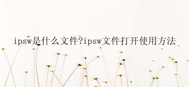 ipsw是什么文件?ipsw文件打开使用方法