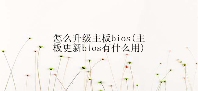 怎么升级主板bios(主板更新bios有什么用)