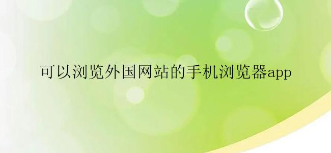 可以浏览外国网站的手机浏览器app