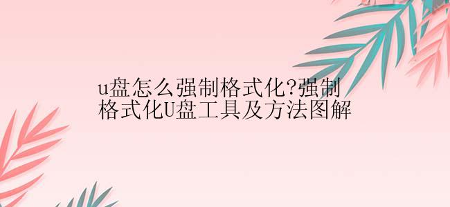 u盘怎么强制格式化?强制格式化U盘工具及方法图解