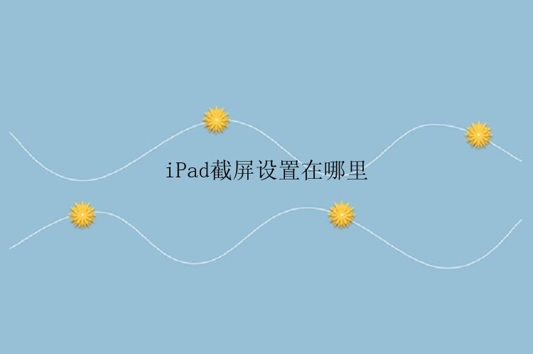 iPad截屏设置在哪里