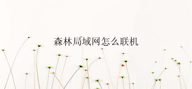 森林局域网怎么联机