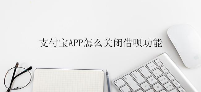 支付宝APP怎么关闭借呗功能