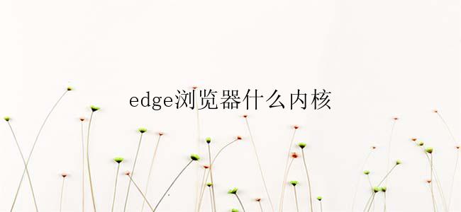 edge浏览器什么内核