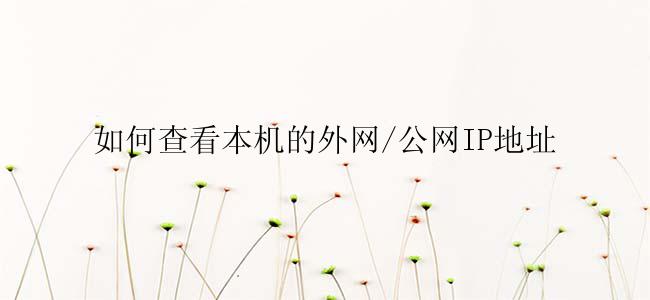 如何查看本机的外网/公网IP地址