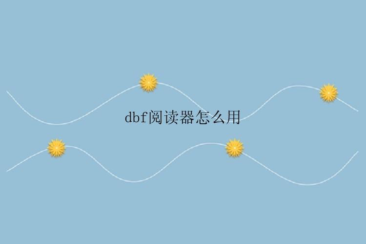 dbf阅读器怎么用