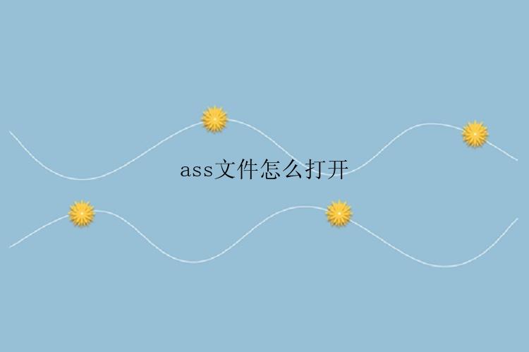 ass文件怎么打开