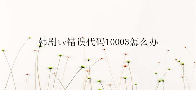 韩剧tv错误代码10003怎么办