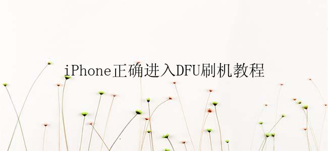 iPhone正确进入DFU刷机教程