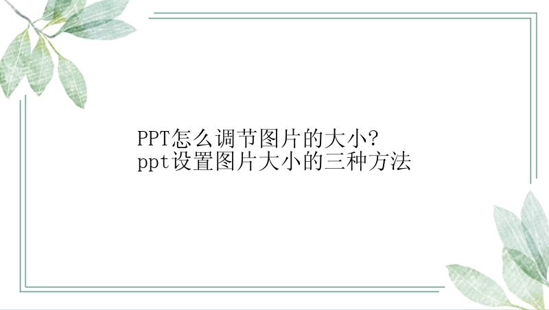 PPT怎么调节图片的大小?ppt设置图片大小的三种方法