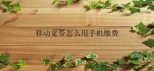 移动宽带怎么用手机缴费