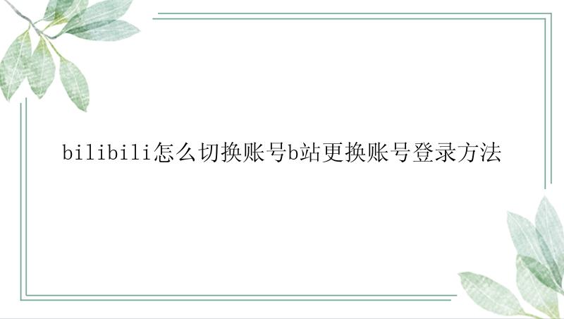 bilibili怎么切换账号b站更换账号登录方法