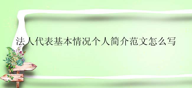 法人代表基本情况个人简介范文怎么写