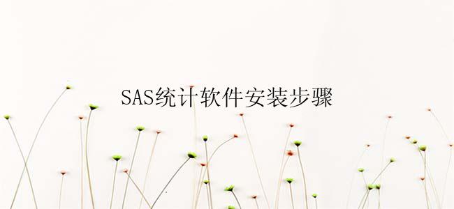 SAS统计软件安装步骤