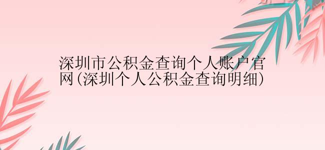 深圳市公积金查询个人账户官网(深圳个人公积金查询明细)