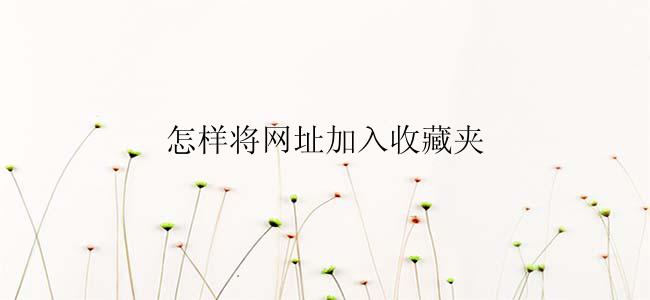 怎样将网址加入收藏夹