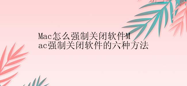 Mac怎么强制关闭软件Mac强制关闭软件的六种方法