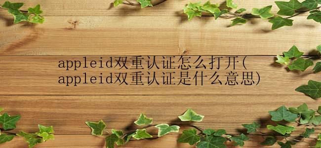 appleid双重认证怎么打开(appleid双重认证是什么意思)