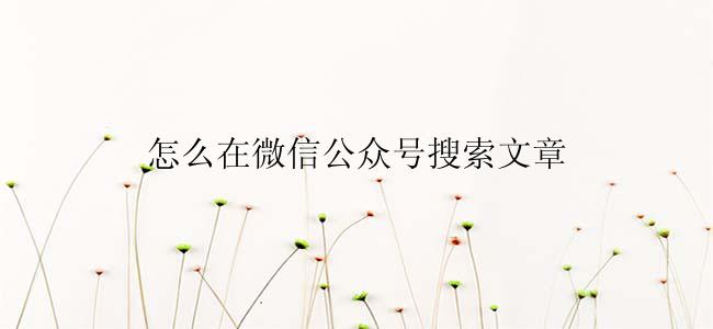 怎么在微信公众号搜索文章