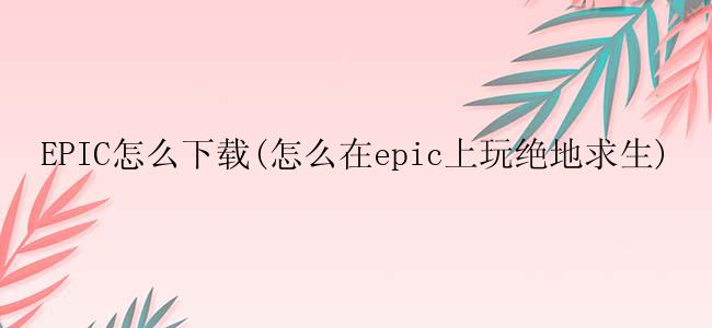 EPIC怎么下载(怎么在epic上玩绝地求生)