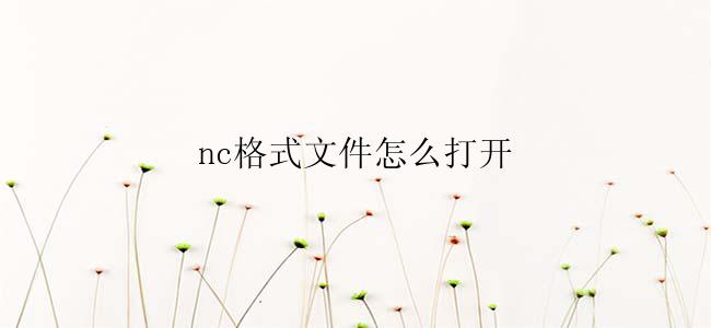 nc格式文件怎么打开