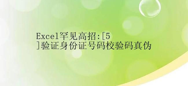 Excel罕见高招:[5]验证身份证号码校验码真伪