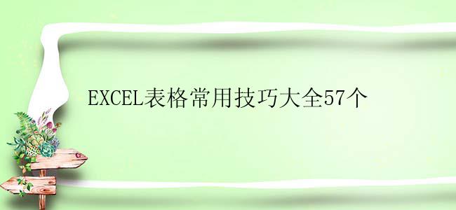 EXCEL表格常用技巧大全57个