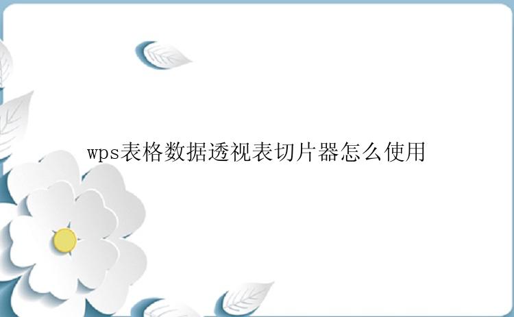 wps表格数据透视表切片器怎么使用