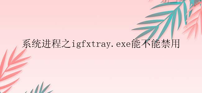 系统进程之igfxtray.exe能不能禁用