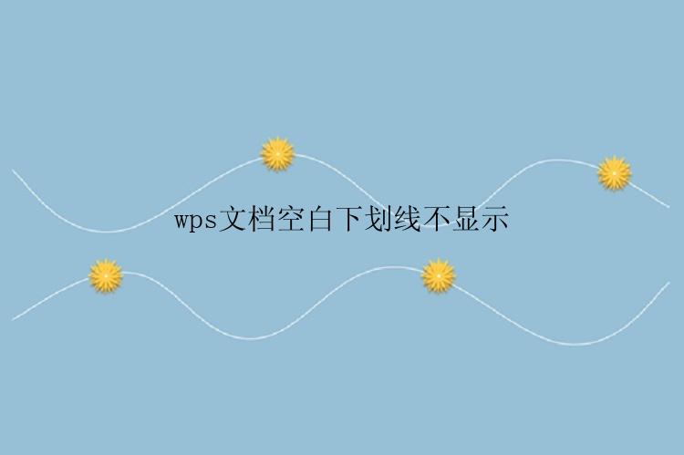 wps文档空白下划线不显示