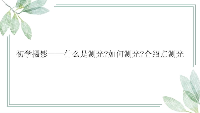 初学摄影——什么是测光?如何测光?介绍点测光