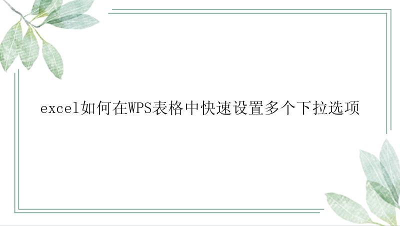 excel如何在WPS表格中快速设置多个下拉选项