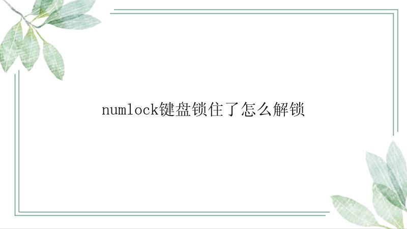numlock键盘锁住了怎么解锁